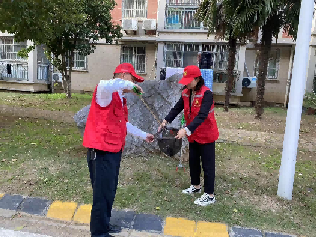 匯聚志愿力量 服務溫暖人心